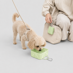 Heart Foldable Pet Bowl image 3