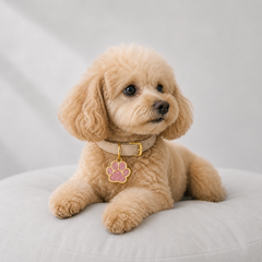 Custom Paw ID Tag image 3