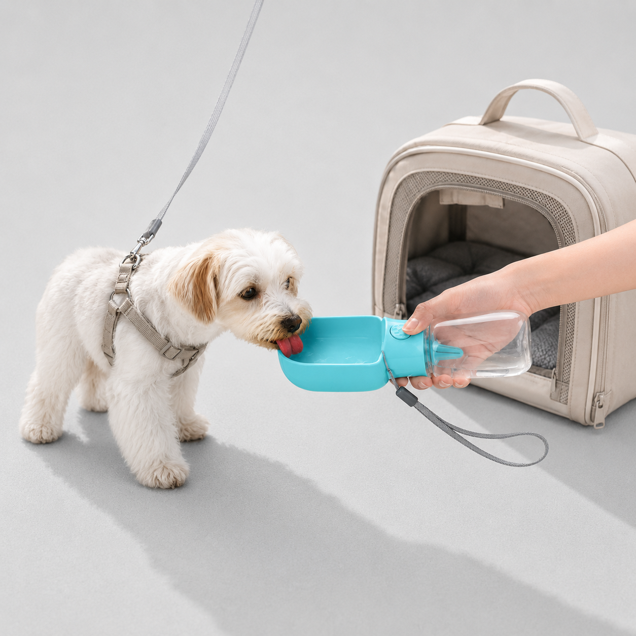 On-the-Go Dog Water Bottle image 3