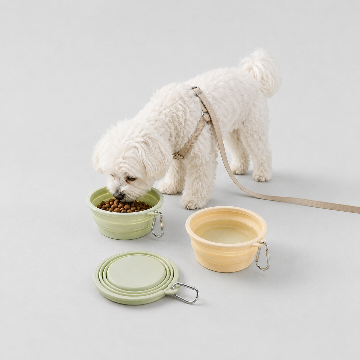 Foldable Travel Pet Bowl image 3