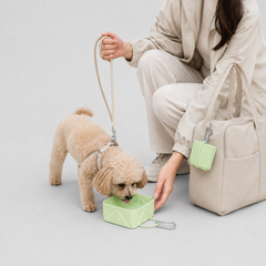 Heart Foldable Pet Bowl image 4