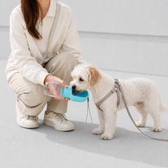 On-the-Go Dog Water Bottle image 4