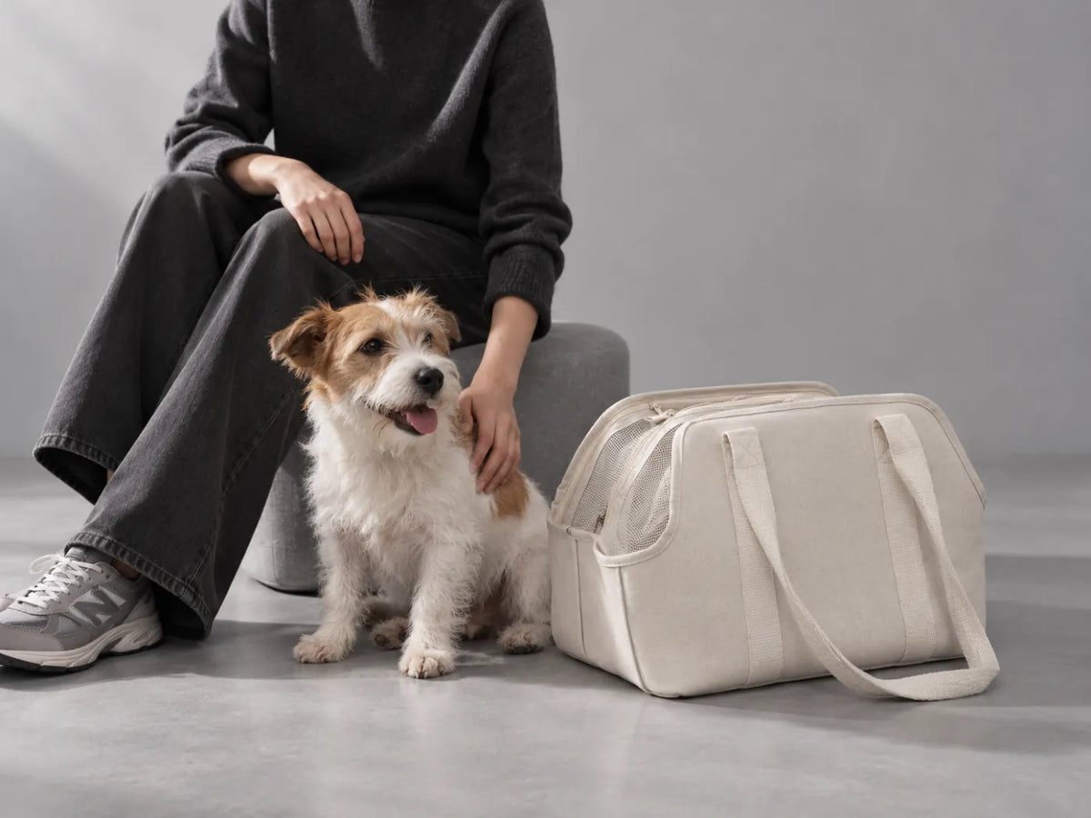 A person in black-and-white clothing shares a quiet moment with a pet beside an empty carrier in a cool-grey studio