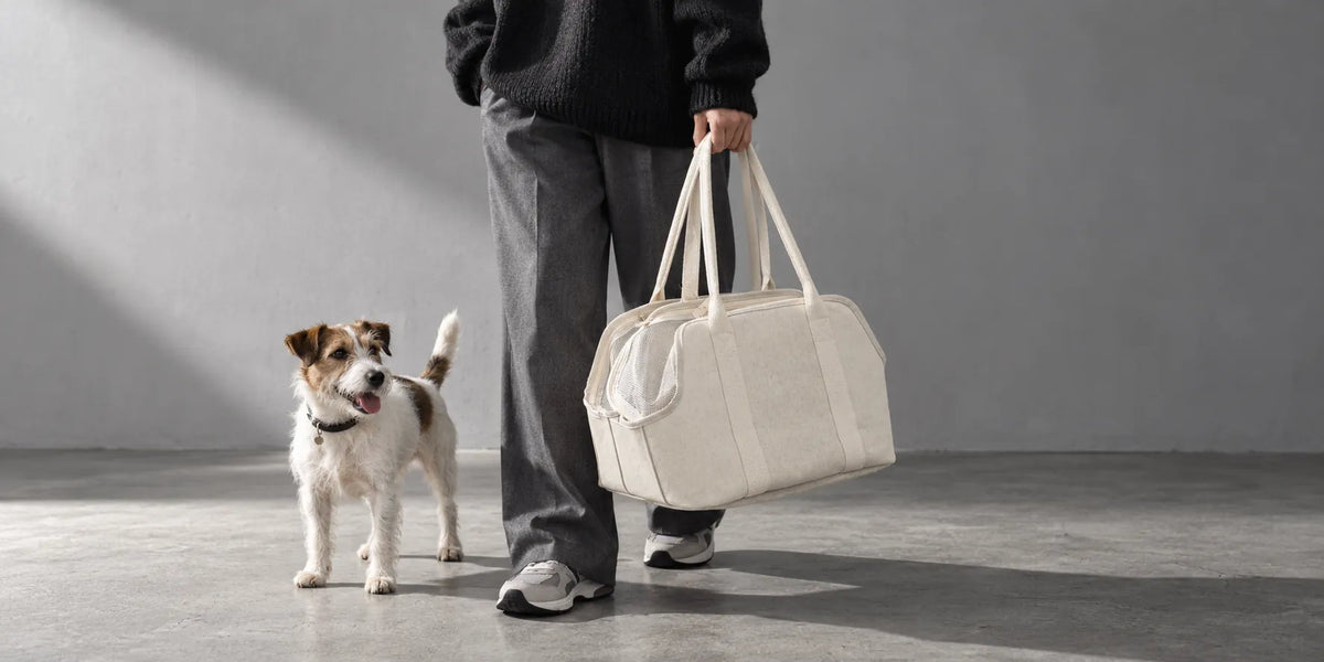 A person in black-and-white clothing carries an empty pet carrier beside a small pet on the ground