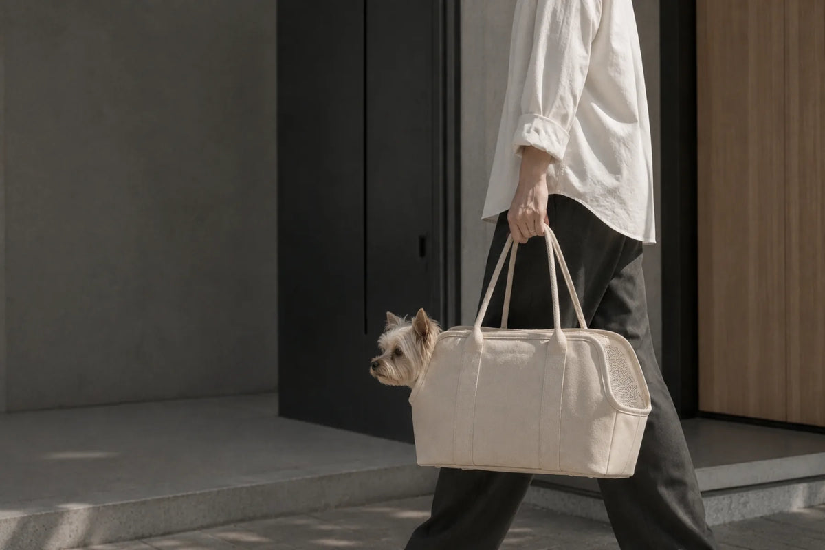 A person with a cream canvas pet carrier and a small dog on a city outing